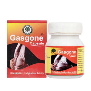 Gasgone Capsule (30 Capsule)